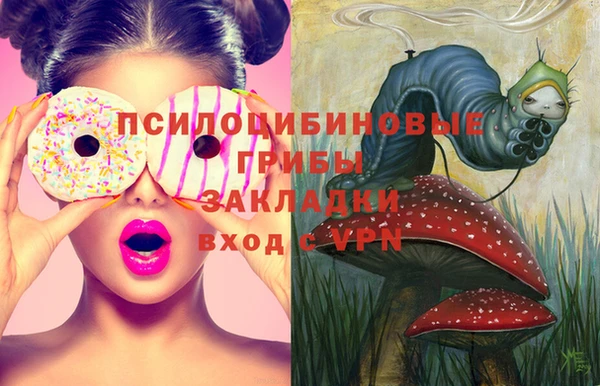 PSILOCYBIN Переславль-Залесский