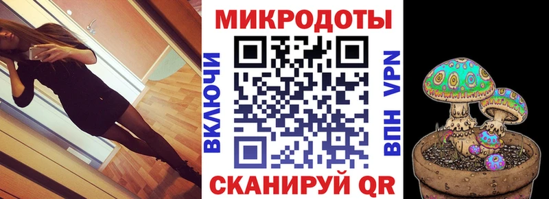 Псилоцибиновые грибы Psilocybine cubensis  OMG сайт  Шацк 